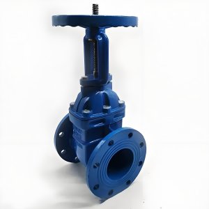 手動(dòng)閘閥Z41T-16 DN50/DN65廠家直銷，上海發(fā)