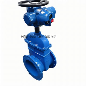 電動(dòng)閘閥Z945X-10 DN50暗桿軟密封